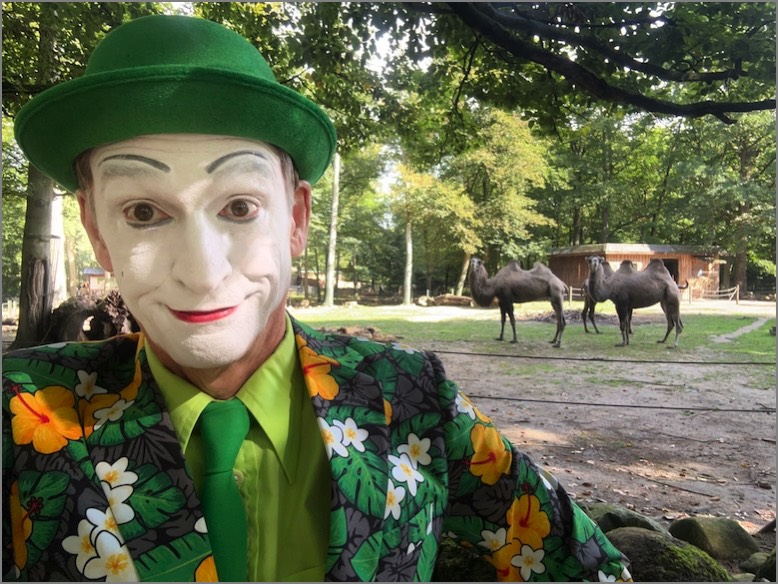 Stacks Image 1716520